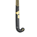 Y1 MR X.2